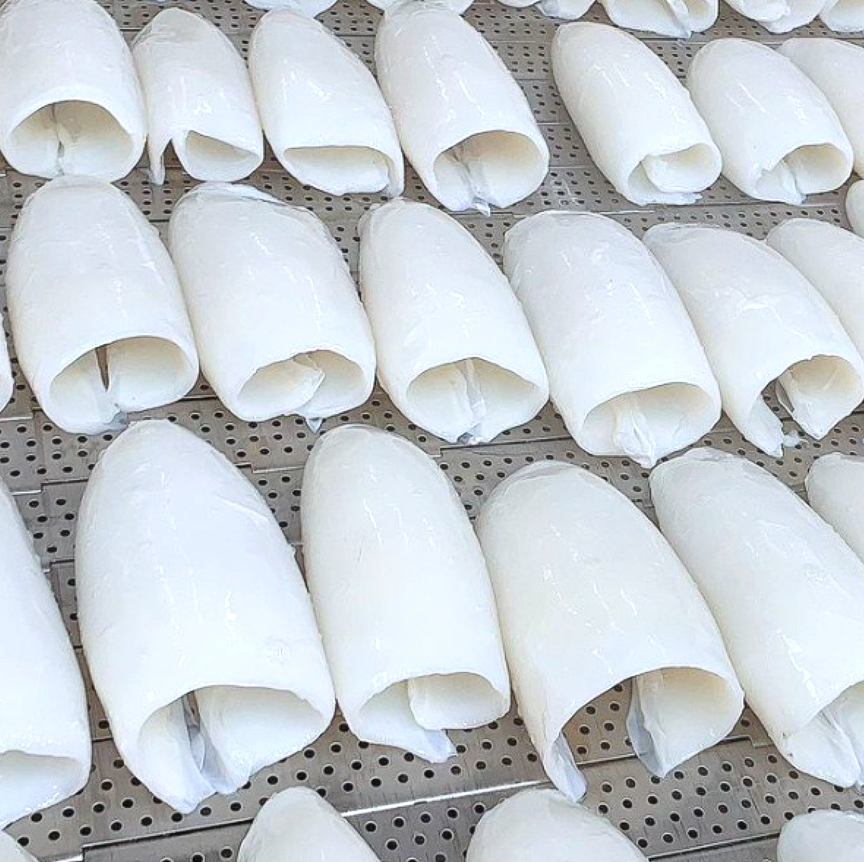 갑오징어 몸살(롤/동체)