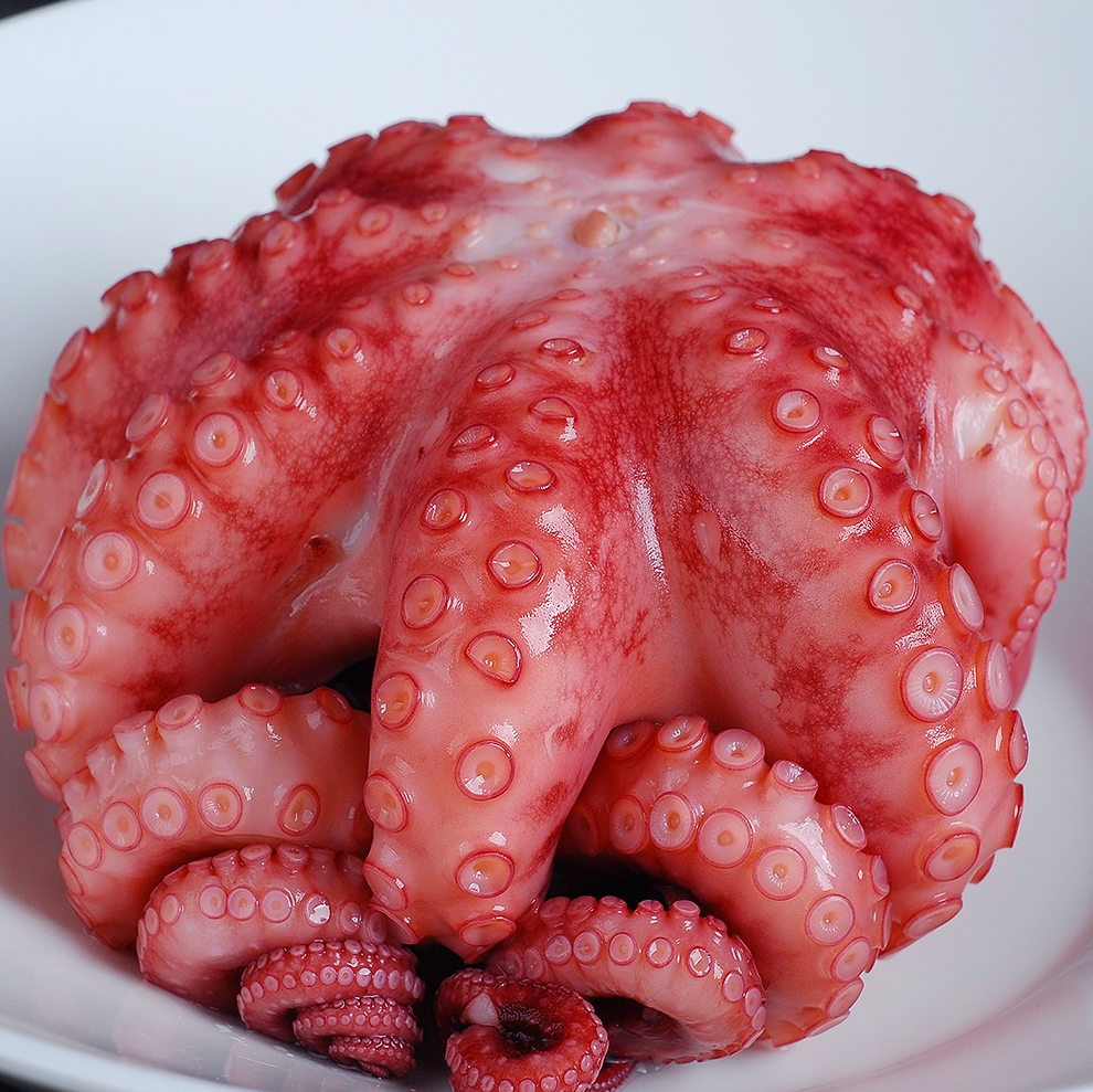 .자숙 문어 (원물-라운드)