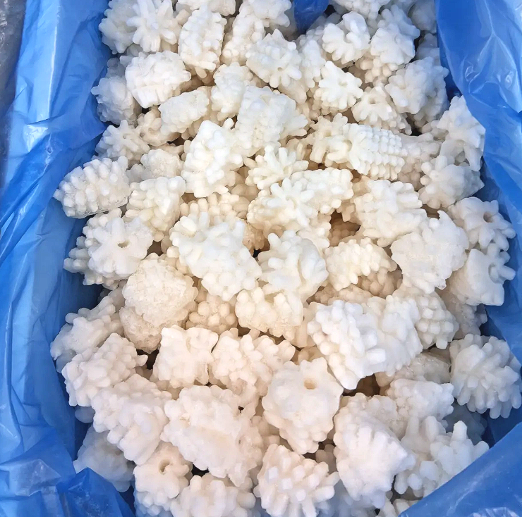 오징어 (솔방울/칼집)