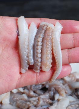 낙지(절단낙지)