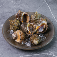 참소라살 (피뿔고둥살)