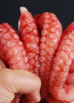 .자숙 문어 (다리)