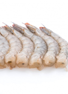 흰다리새우(칵테일새우)