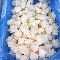 오징어 (솔방울/칼집)