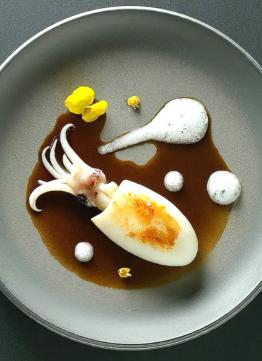 갑오징어 베이비