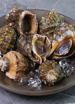 참소라