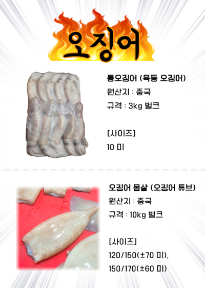 홍보 3-2. 오징어