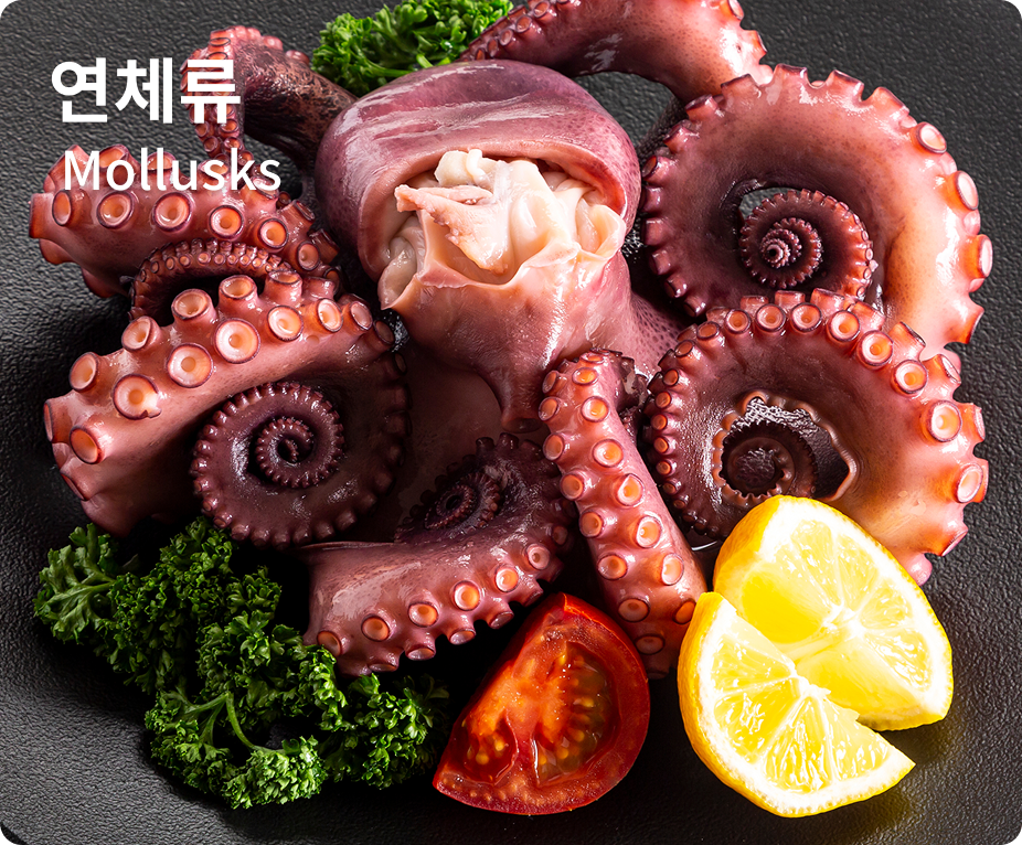 연체류