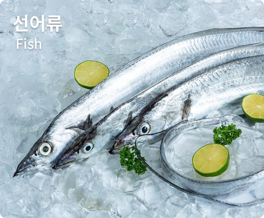 선어류